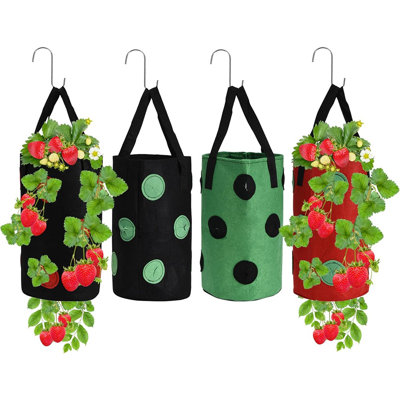 Window Garden Hanging Strawberry Planter 4Pcs - Promotes Growth,...