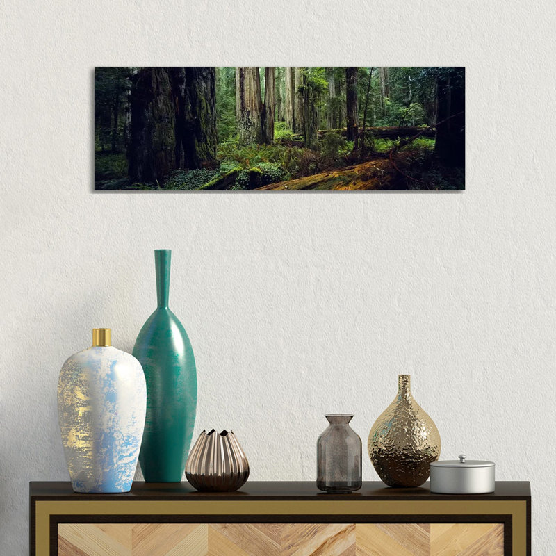 Trees in a Forest, Hoh Rainforest, Olympic National Park, Washington State, USA 1 Piece Wrapped Canvas Panoramic Wall Art