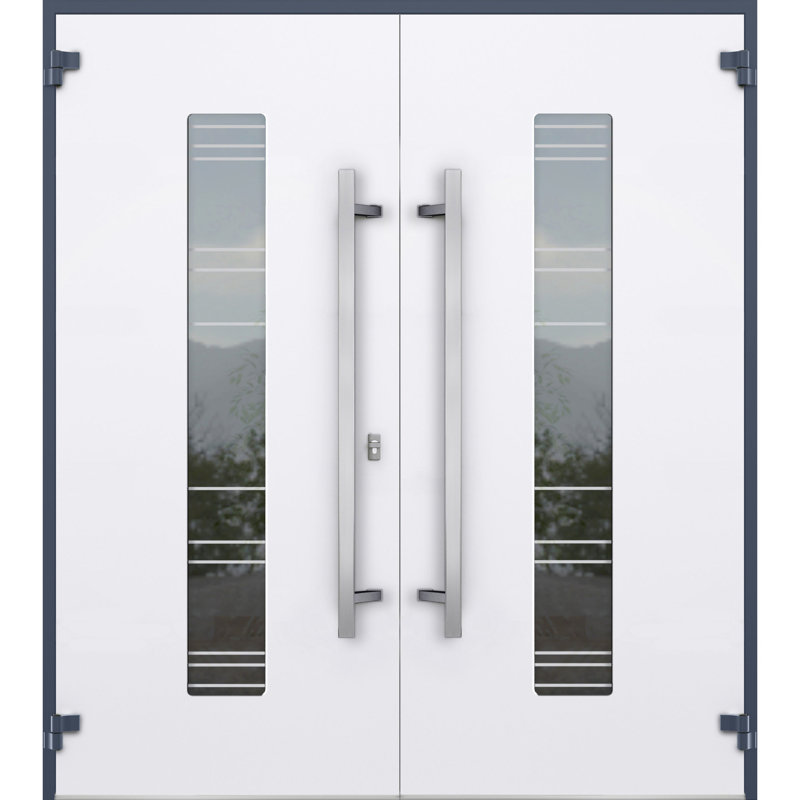 Façade avant extérieure en métal double portes / deux 5755 gris graphite transparent verre / entrée moderne peint à gauche avec porte active 72 po x 80 po