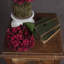 Anastasija Arrangement-376443027
