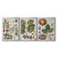 Exotic Botanique I - Ensemble de 3 reproductions d'art sur toile-1322419266