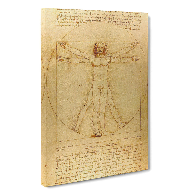 Vitruvian Man Vol.1 by Leonardo Da Vinci - Wrapped Canvas Painting, 50cm H x 35cm W x 3cm D