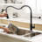 Contemporary Black Kitchen Faucet, Pull Out , To Dirt And Grime Matte Spray Head, Single Lever, Consistent Water-1466311164