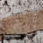 Brick Wall Old Vintage Rustic Abstract Antique Architecture Black with 12 Hooks-1561115550