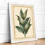 Study Botanical - Framed Print-262269562-262269565