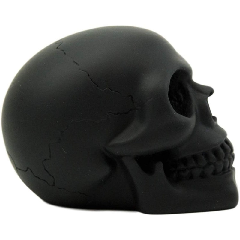 Figurine pirate crâne humain d’Etheline pirate butin, Noir