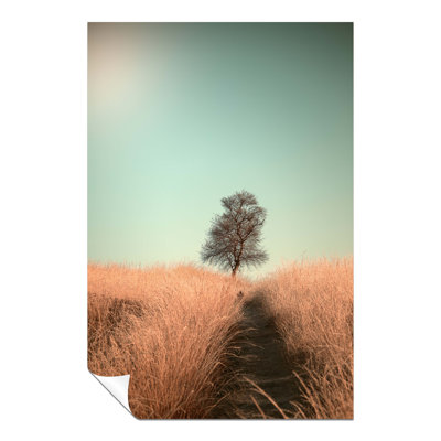 Path To The Lonely Tree Landscape - No Frame Print