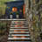 Bravo Matte Bronze Low Voltage Integrated LED Metal Step Light