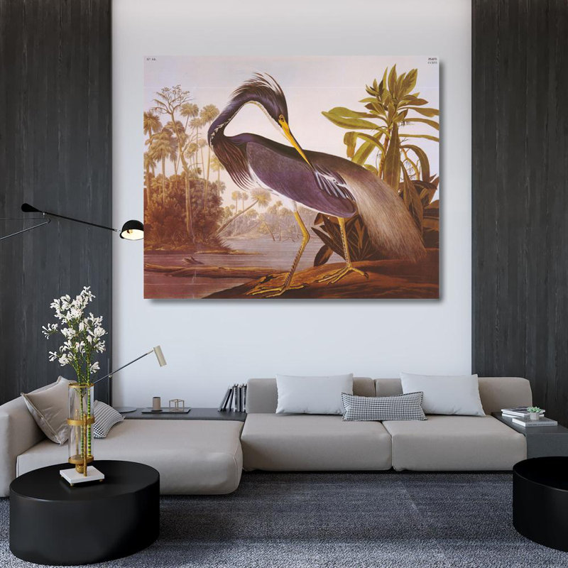 Louisiana Heron