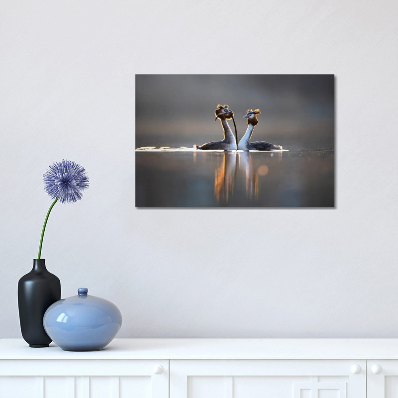 Courtships II by Mateusz Piesiak - Wrapped Canvas Print, 30.48cm H x 45.72cm W x 1.905cm D