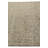 Iniguez Light Green Rug