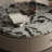 Hostetler-135355631-135355630