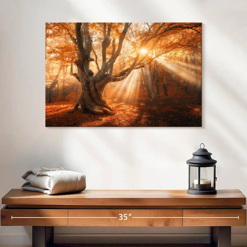 Lumière du soleil d'automne Alvord, H 16 po x l 24 po