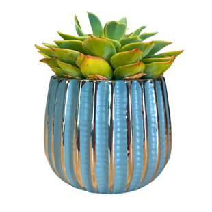 Pot en céramique de 4 po, plante décorative
