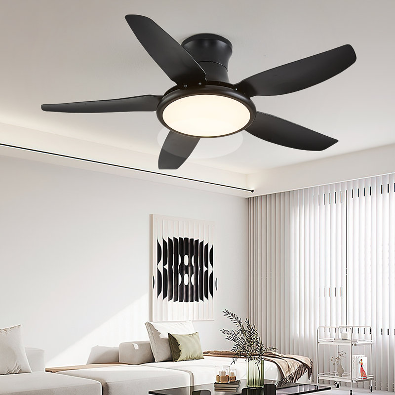 Andreano 122cm Ceiling Fan with LED Lights, Black