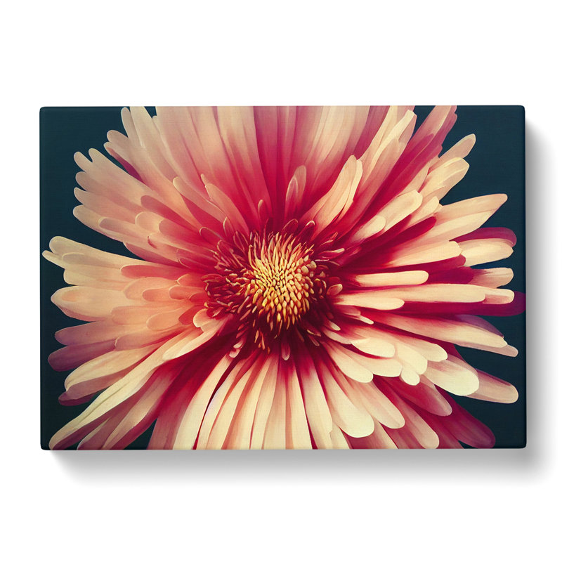 Fancy Chrysanthemum Flower - Wrapped Canvas, 35cm H x 50cm W