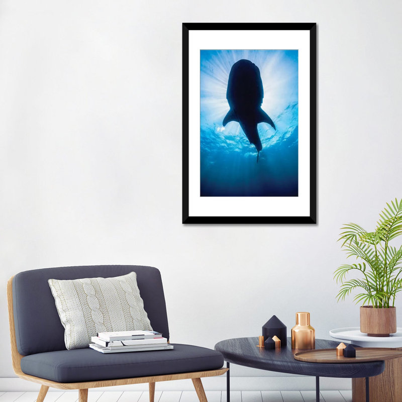 " Whale Shark In Isla Mujeres, Mexico II " by Jennifer Idol, Black Framed Fine Art Paper, 32" H x 24" W x 1" D, White