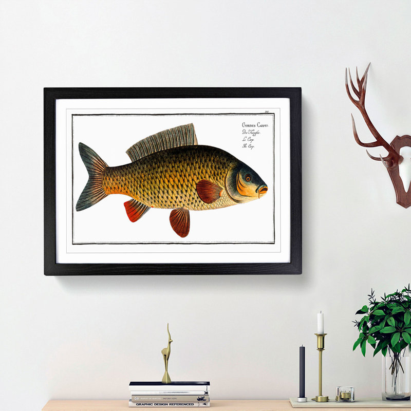Carp Fish by M.E. Bloch - Picture Frame Graphic Art Print, 36cm H x 48cm W x 2cm D, Black Framed