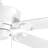 Lakehurst 60'' Ceiling Fan-26209802