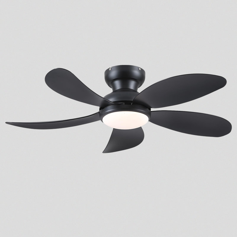 Fan Light, Black