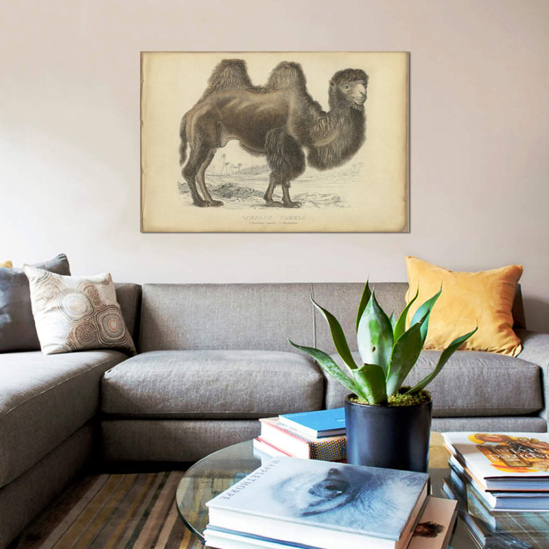« mixte bactrian », reproduction sur toile, H 8 po x l 12 po x P 0,75 po, Pas de tapis, Toile tendue