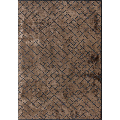 Rapture Abstract Area Rug in Brown