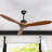 Ajenae 51.96'' Ceiling Fan