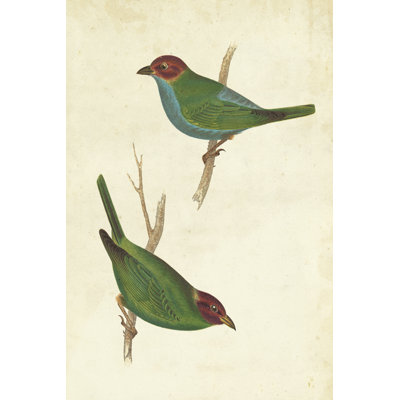 Peruvian Tanager II 1 Piece Wrapped Canvas Wall Art