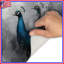 Tapis de bain Group of Peacocks-1798348048