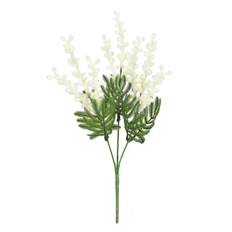 Acacia Mimosa en vaporisateur, Crème/Vert