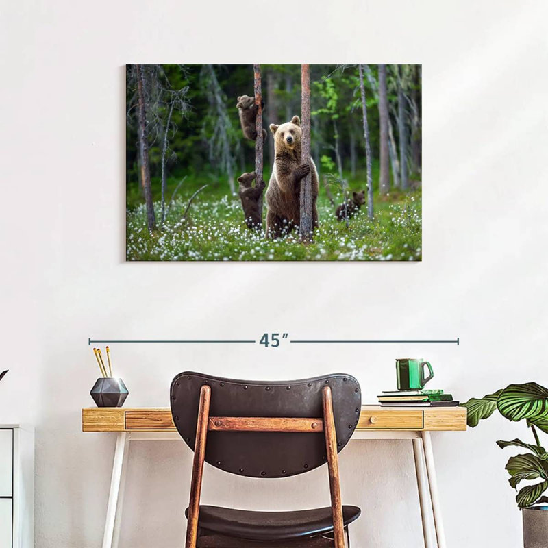Brampt Grizzly Bear Group