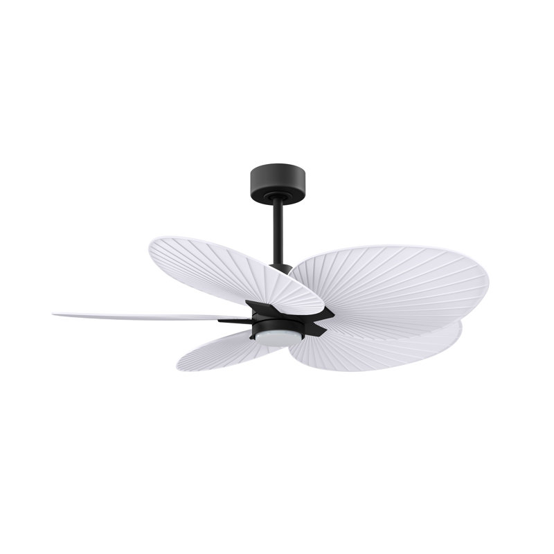 Alessandra - Ventilateur de plafond à cinq pales - DEL intégrée, Noir mat, Blanc mat