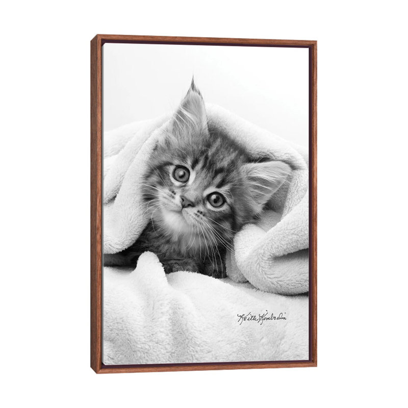 Bug In A Rug by Keith Kimberlin - Print on Canvas, Classic Brown Wood Framed, 101.6 cm H x 66.04 cm W