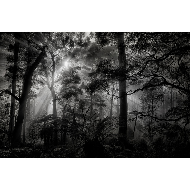 Wrapped Canvas Print, 50.8 cm H x 76.2 cm W