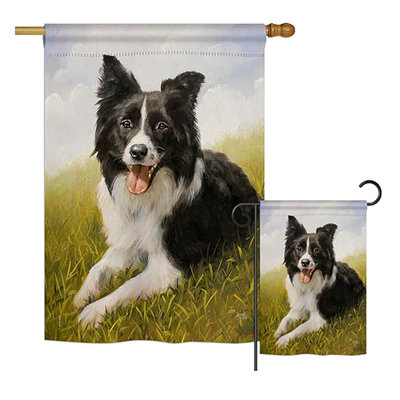 « border collie nature animaux », polyester de 2 côtés 40 x 28 po ensemble de drapeau