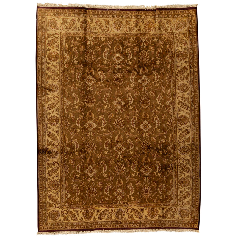 Hand Knotted Wool Area Rug in Brown And Ivory