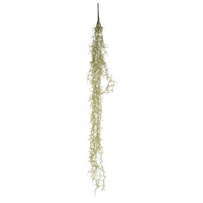 Willow Arrangement