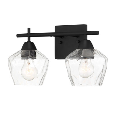 Highland Dunes Muro Transitional Coal Finish Vanity Light