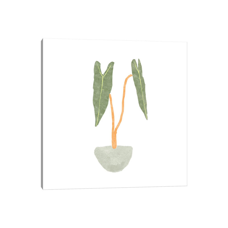 Philodendron Billietiae I by Bannarot - Wrapped Canvas Print, 66.04 cm H x 66.04 cm W x 3.175 cm D