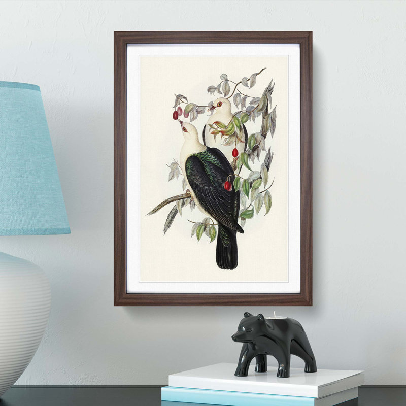 White-Headed Fruit Pigeons by Elizabeth Gould - Framed Print, 65cm H x 48cm W x 2cm D, Walnut Framed