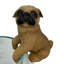Ensemble de 3 cintres pour chiot Cottage