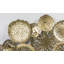 Glam Wall Decor on Metal