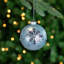 Northlight Seasonal