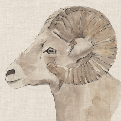 Bighorn Profile I by Annie Warren - Wrapped Canvas Painting