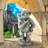 Plato the Ponderer Gargoyle Imp Statue