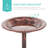 Bird Bath-809425106