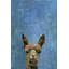 «What Up Llama», reproduction sur toile tendue-27175552