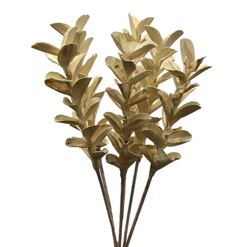 Erie Arrangement