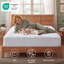 Surmatelas ajusté-118041861