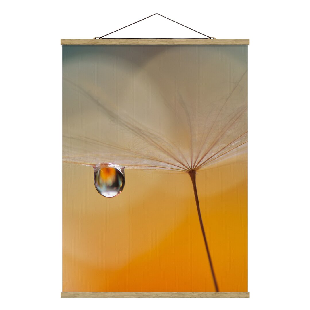 Fotodruck Dandelion in Orange